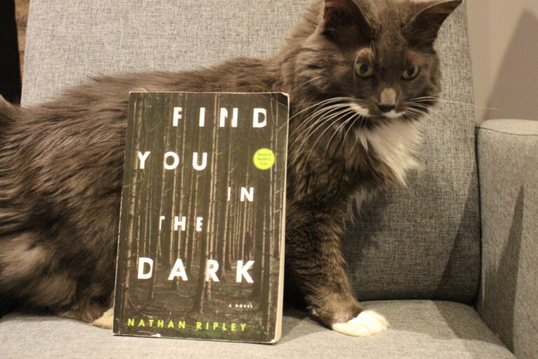 Book Review: Find You in the Dark by Nathan Ripley