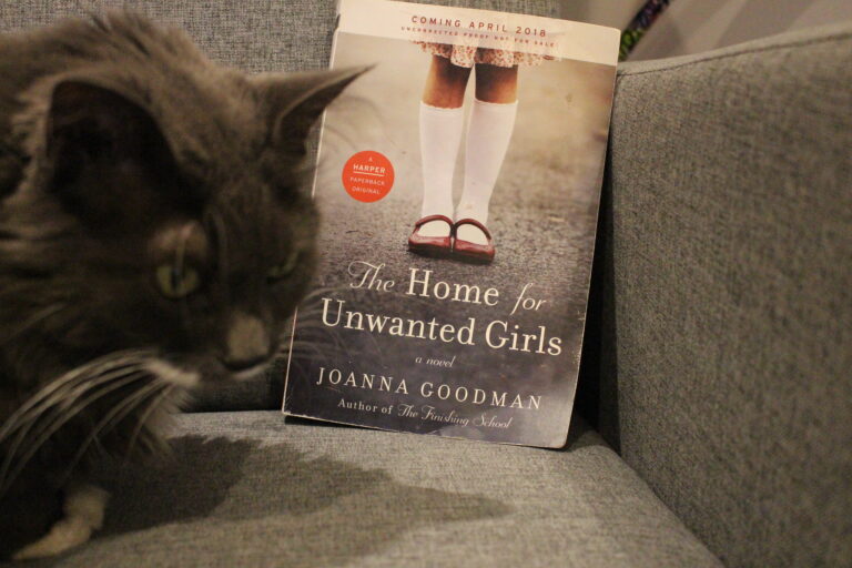 Book Review: The Home for Unwanted Girls by Joanna Goodman