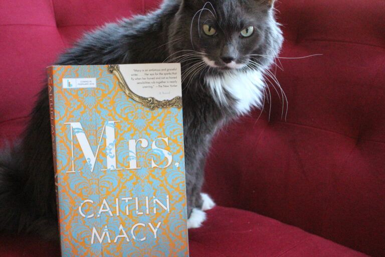 Book Review: Mrs. by Caitlin Macy