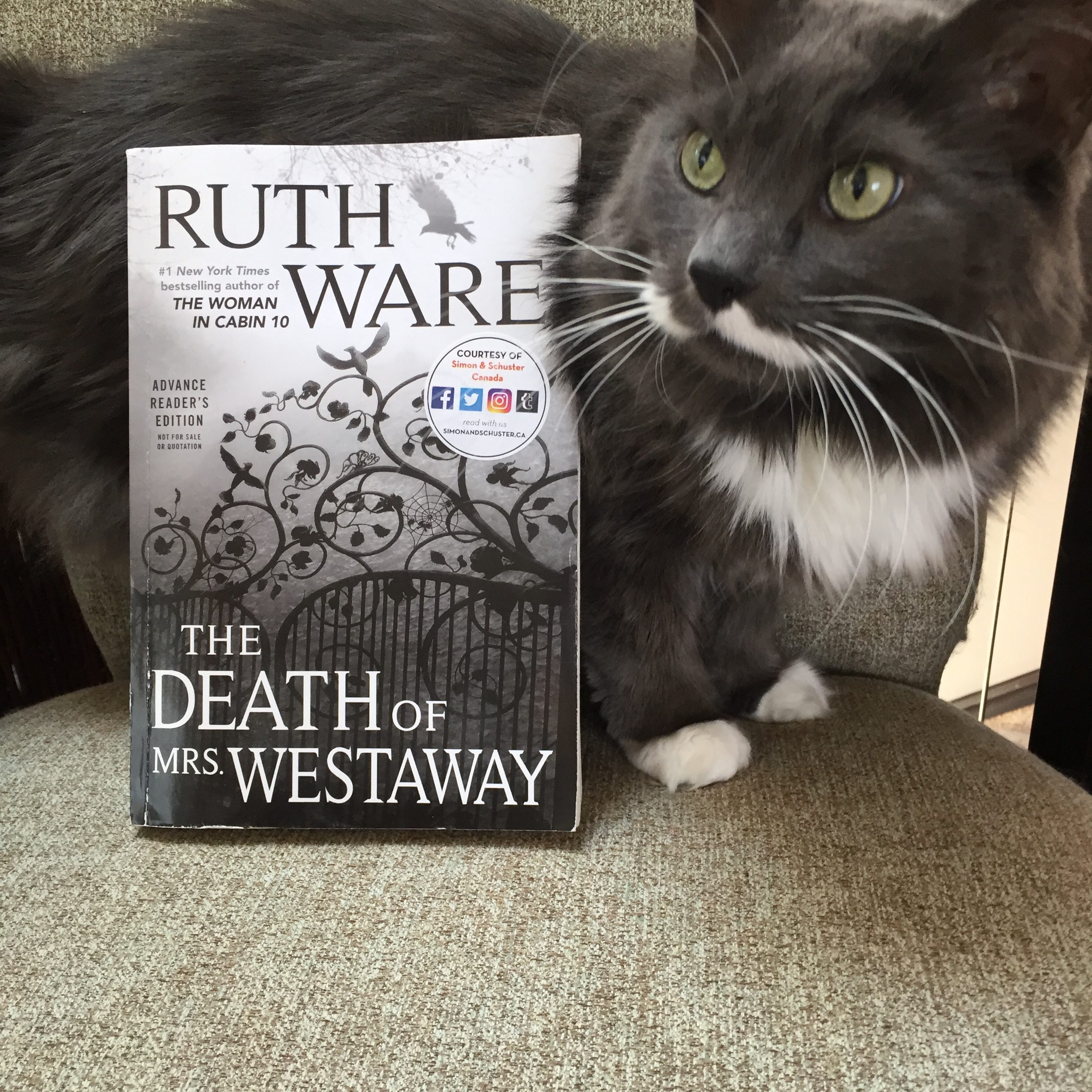 the book The Death of Mrs. Westaway by Ruth Ware, sitting upright against a grey and white longhaired cat