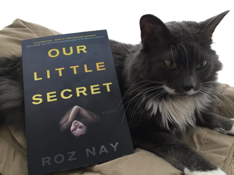 Book Review: Our Little Secret by Roz Nay
