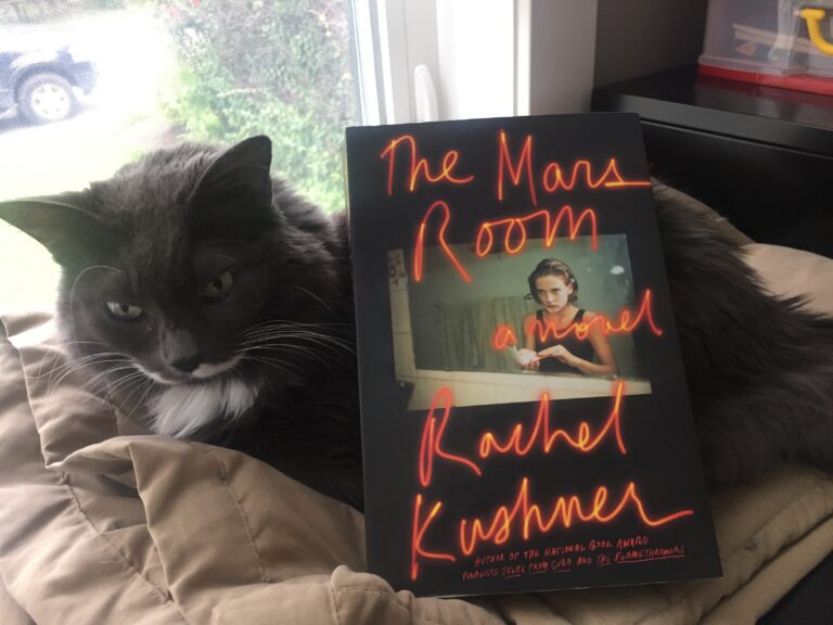 Book Review: The Mars Room by Rachel Kushner