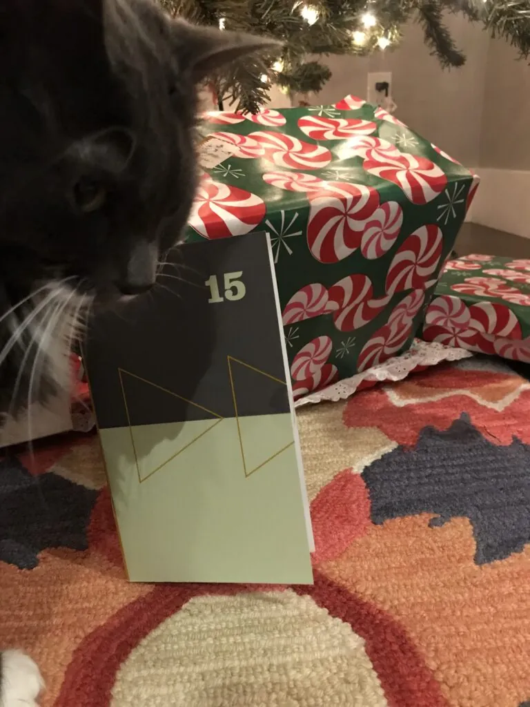 2018 Short Story Advent Calendar Unveiling: December 15