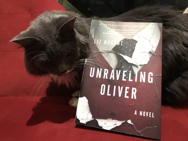 Book Review: Unraveling Oliver by Liz Nugent