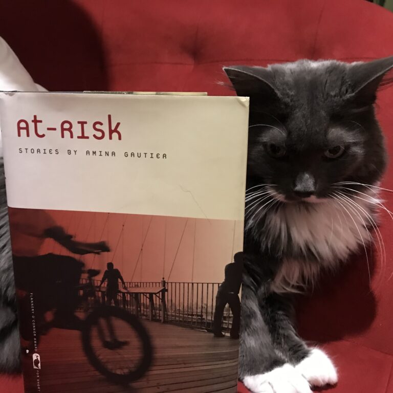Book Review: At-Risk by Amina Gautier