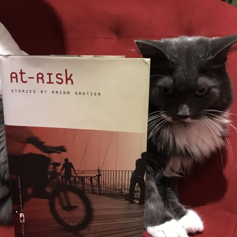 Book Review: At-Risk by Amina Gautier