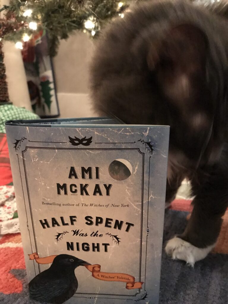 Book Review: Half Spent Was the Night by Ami McKay