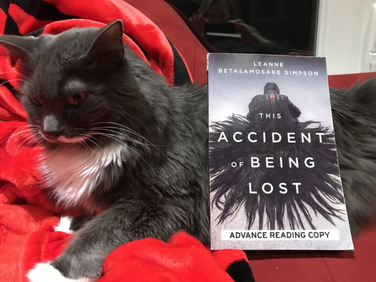 Book Review: The Accident of Being Lost by Leanne Betasamosake Simpson