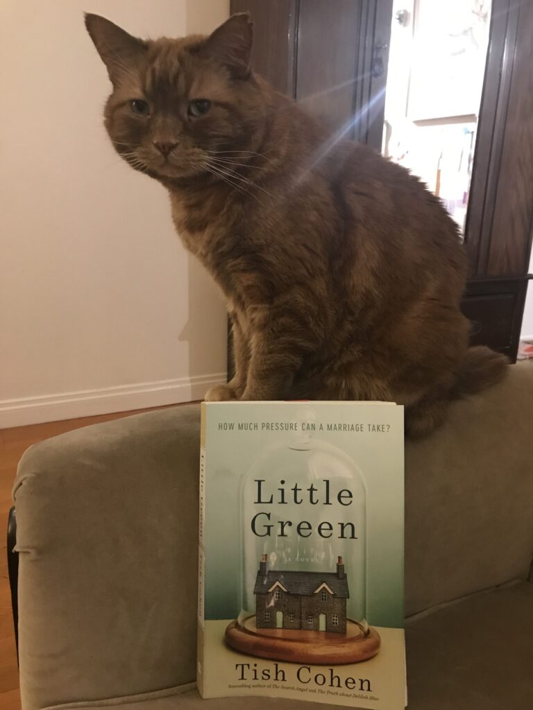 Book Review: Little Green by Tish Cohen