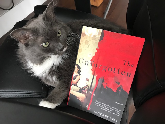 Book Review: The Unforgotten by Laura Powell