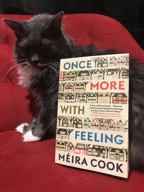 Book Review: Once More With Feeling by Meira Cook