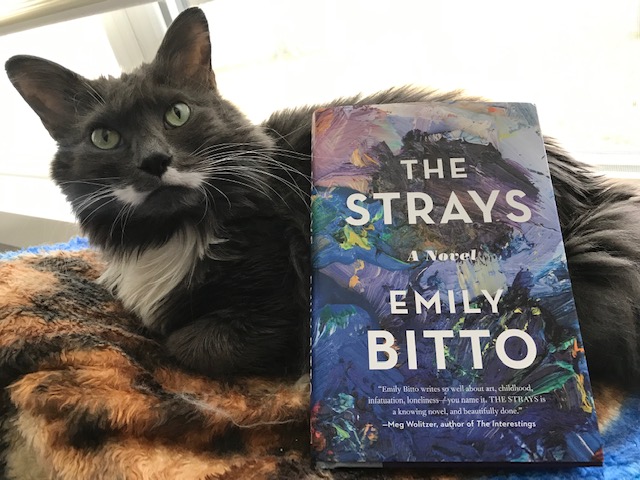 Book Review: The Strays by Emily Bitto