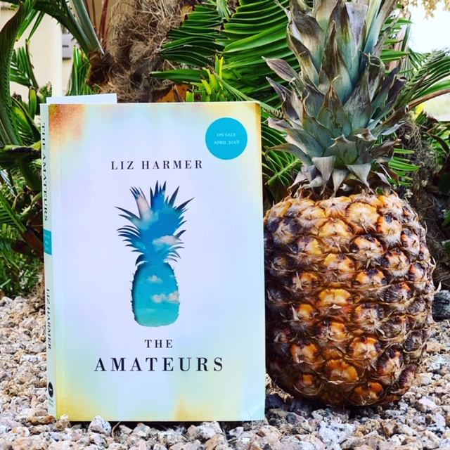 Book Review: The Amateurs by Liz Harmer