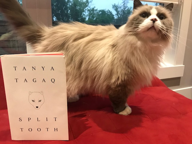 Book Review: Split Tooth by Tanya Tagaq