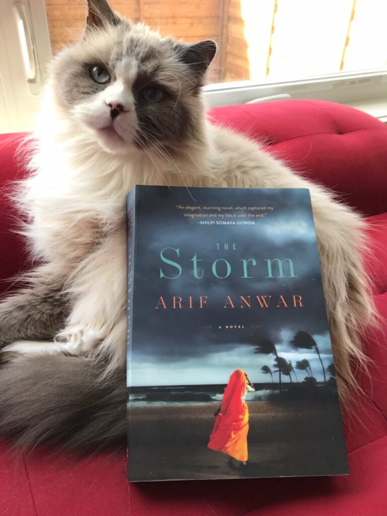 Book Review: The Storm by Arif Anwar
