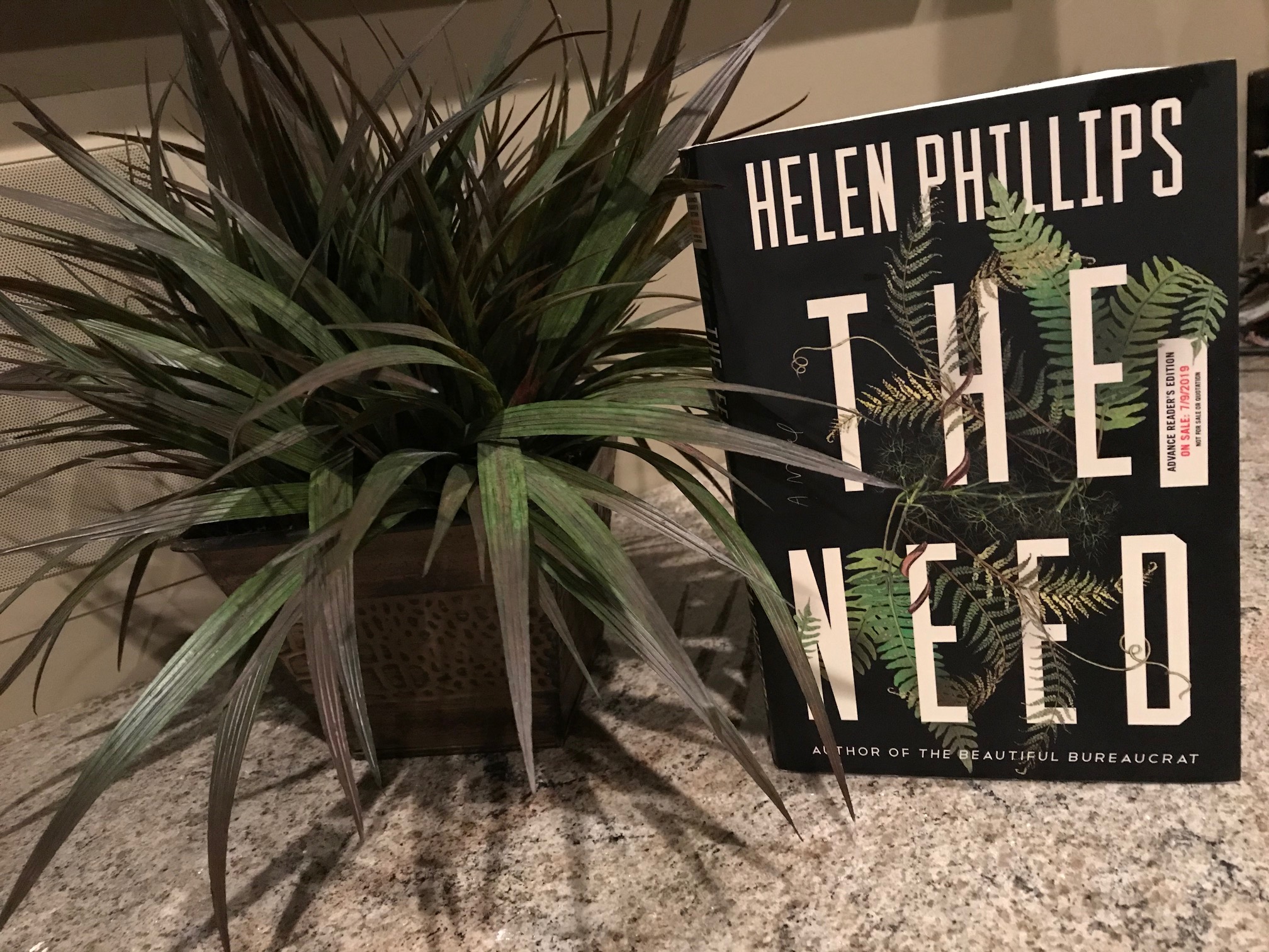 The Need by Helen Phillips book pictured next to a green plant on a grey granite countertop