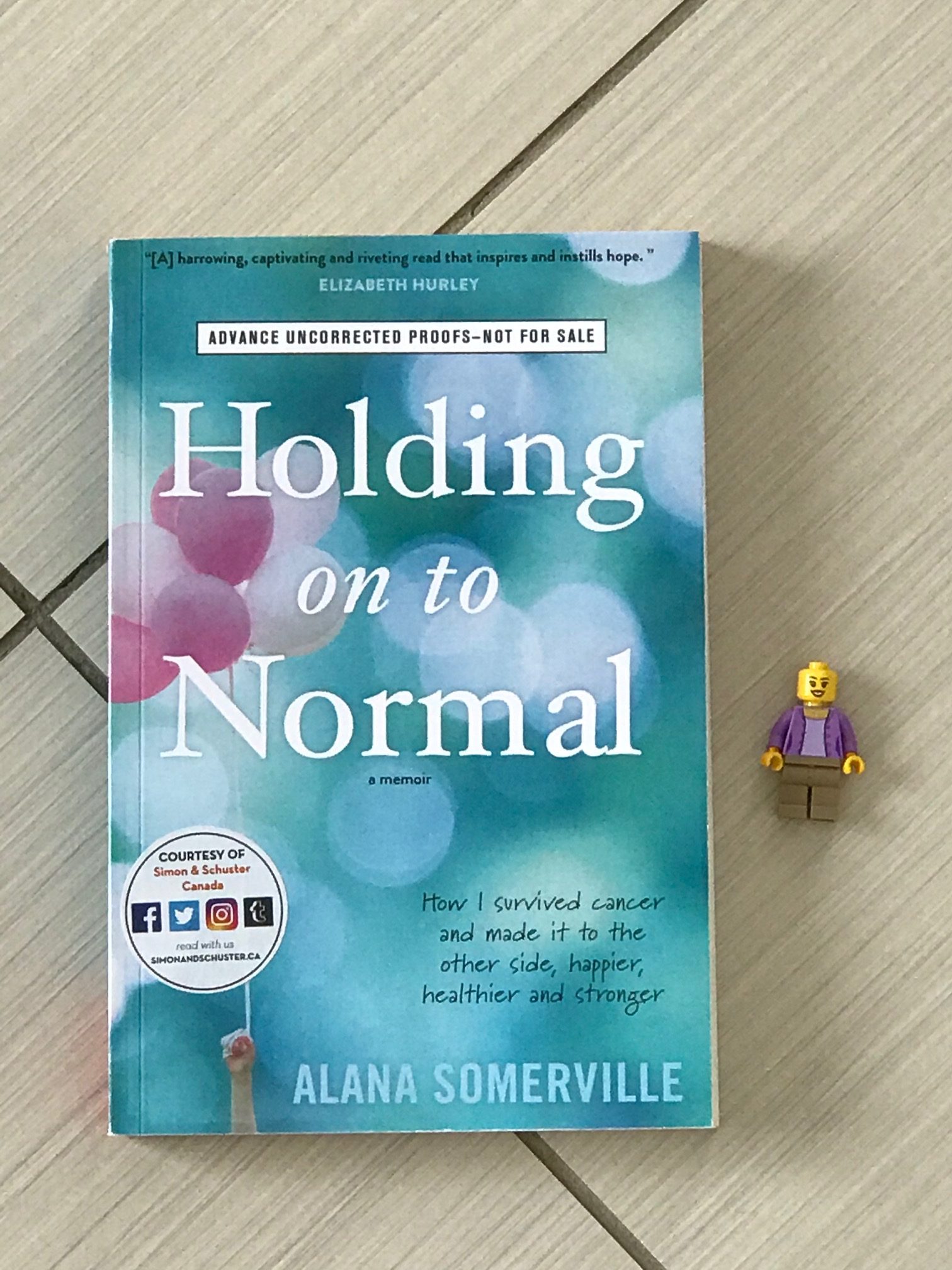 cover image of Holding On To Normal by Alana Somerville