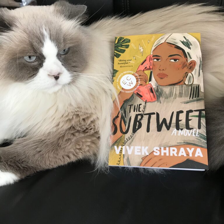 Book Review: The Subtweet by Vivek Shraya
