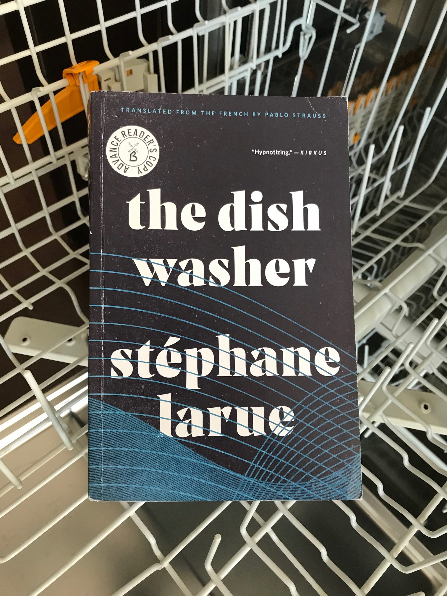 cover image of the dishwasher by Stephane Larue