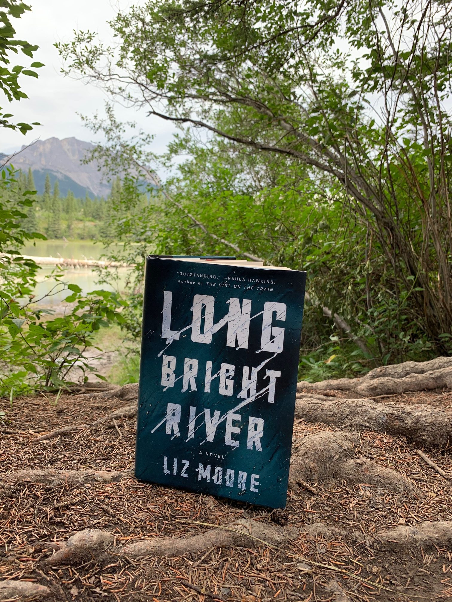 cover image of Long Bright River by Liz Moore