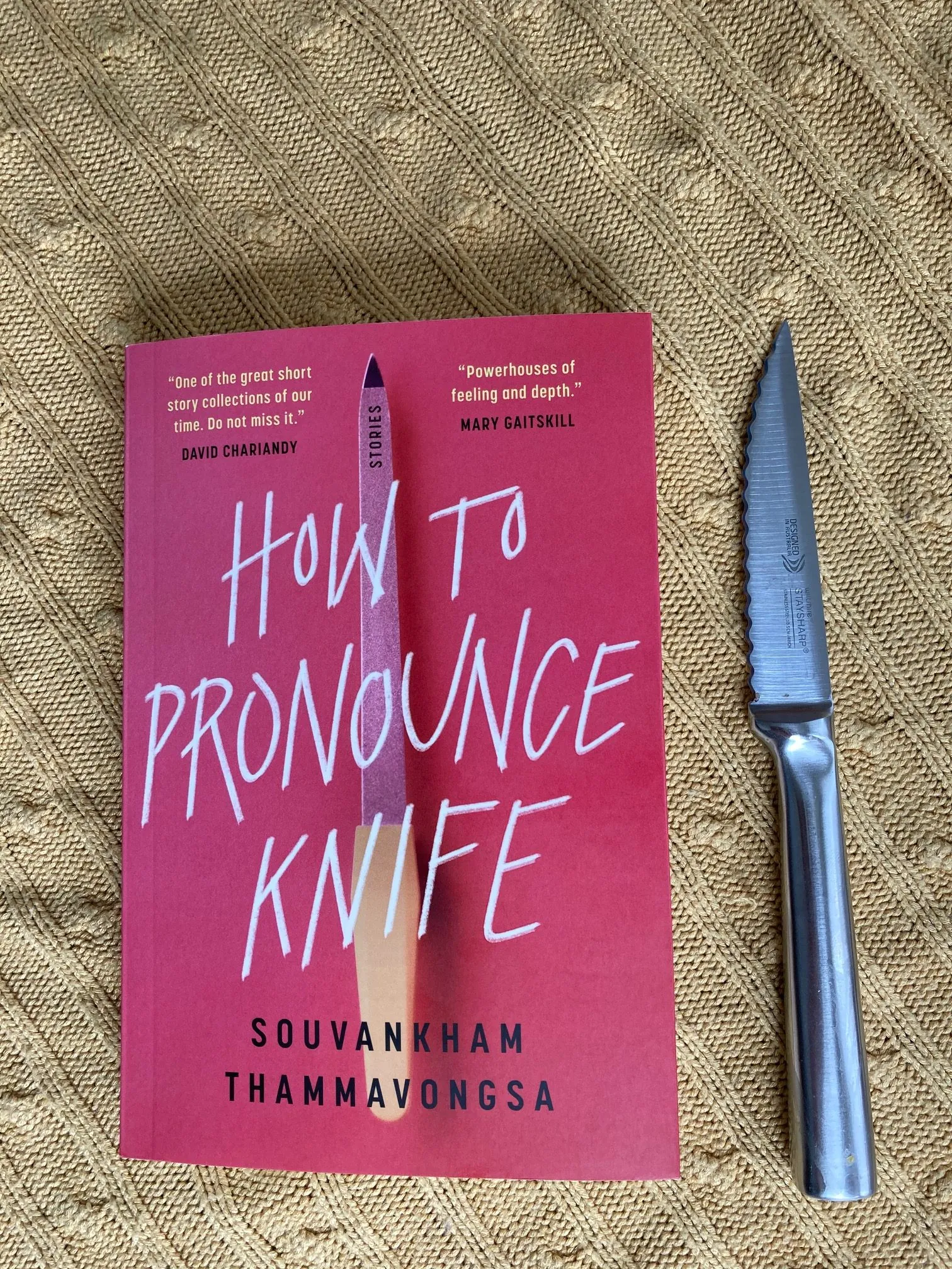 cover image of How to Pronounce Knife by Saouvankham Thammavongsa