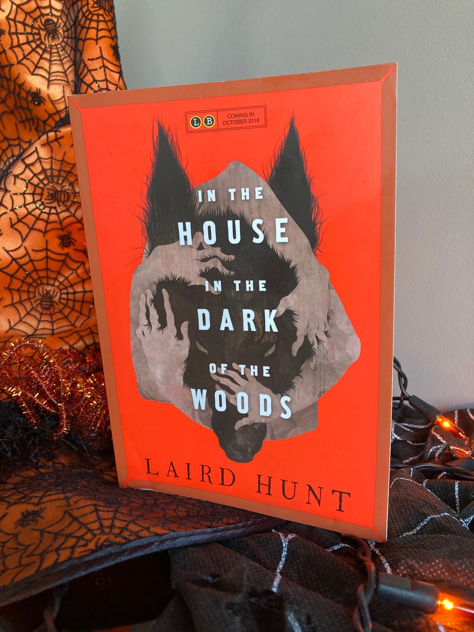 cover image of In the House in the Dark of the Woods by Laird Hunt