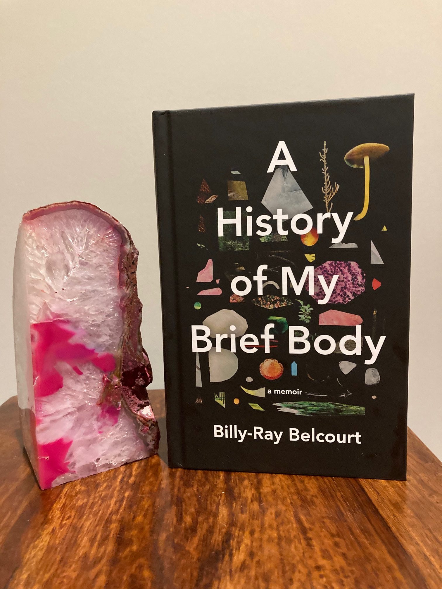 cover image of A History of my Brief Body by Billy-Ray Belcourt