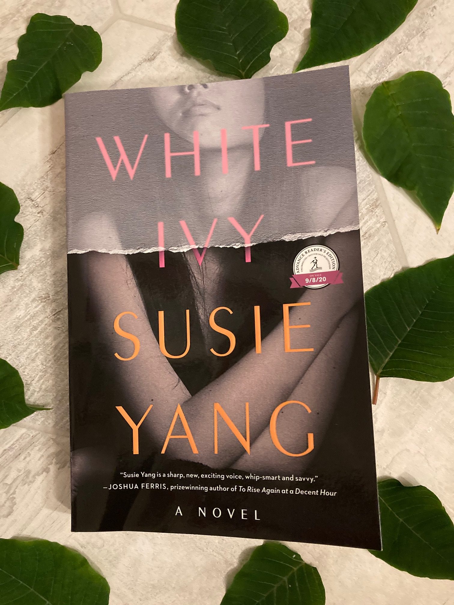 cover image of White Ivy by Susie Yang