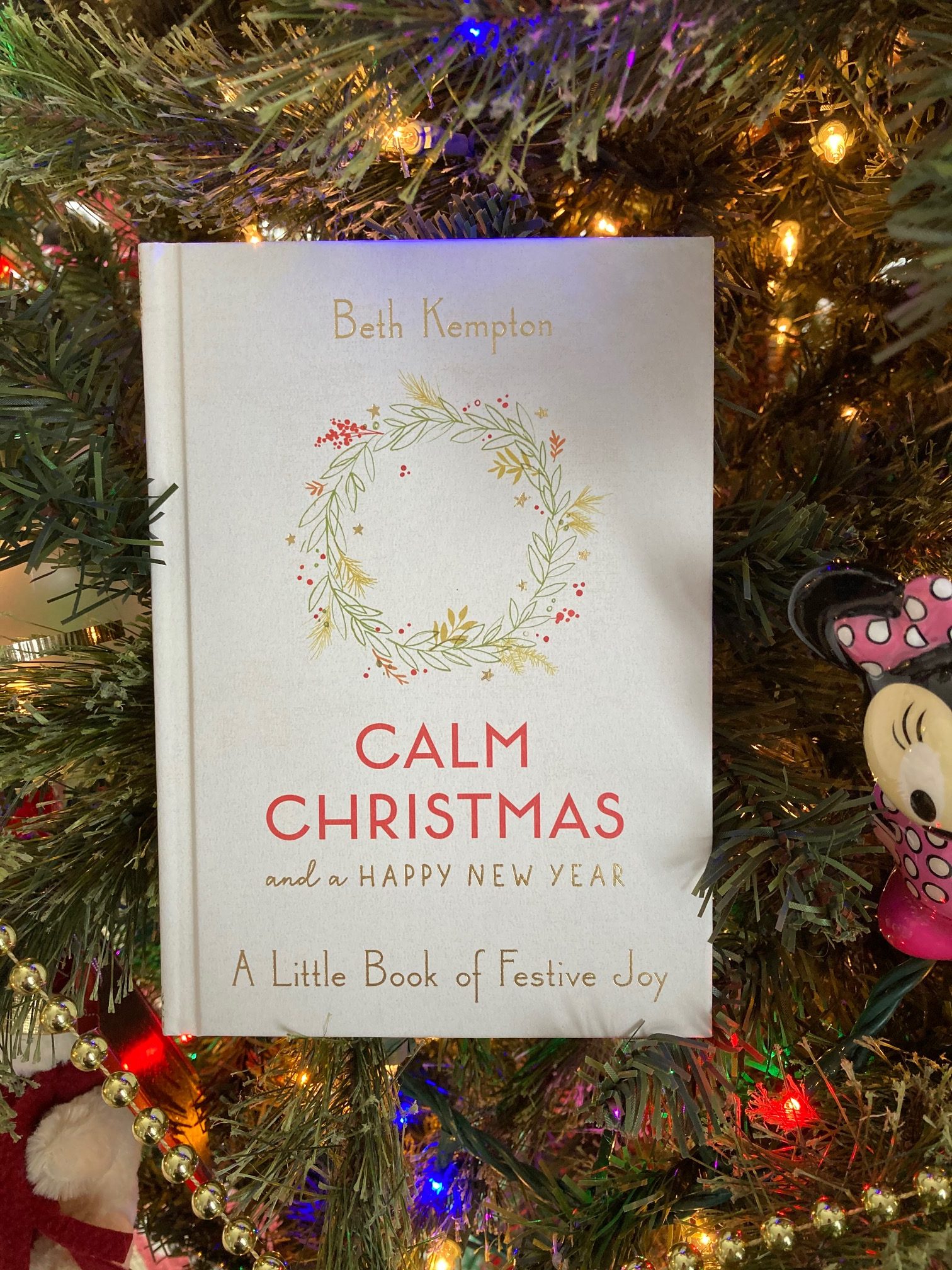 cover image of A Calm Christmas by Beth Kaplan