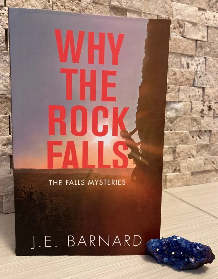 cover image of Why The Rock Falls by J.E. Barnard