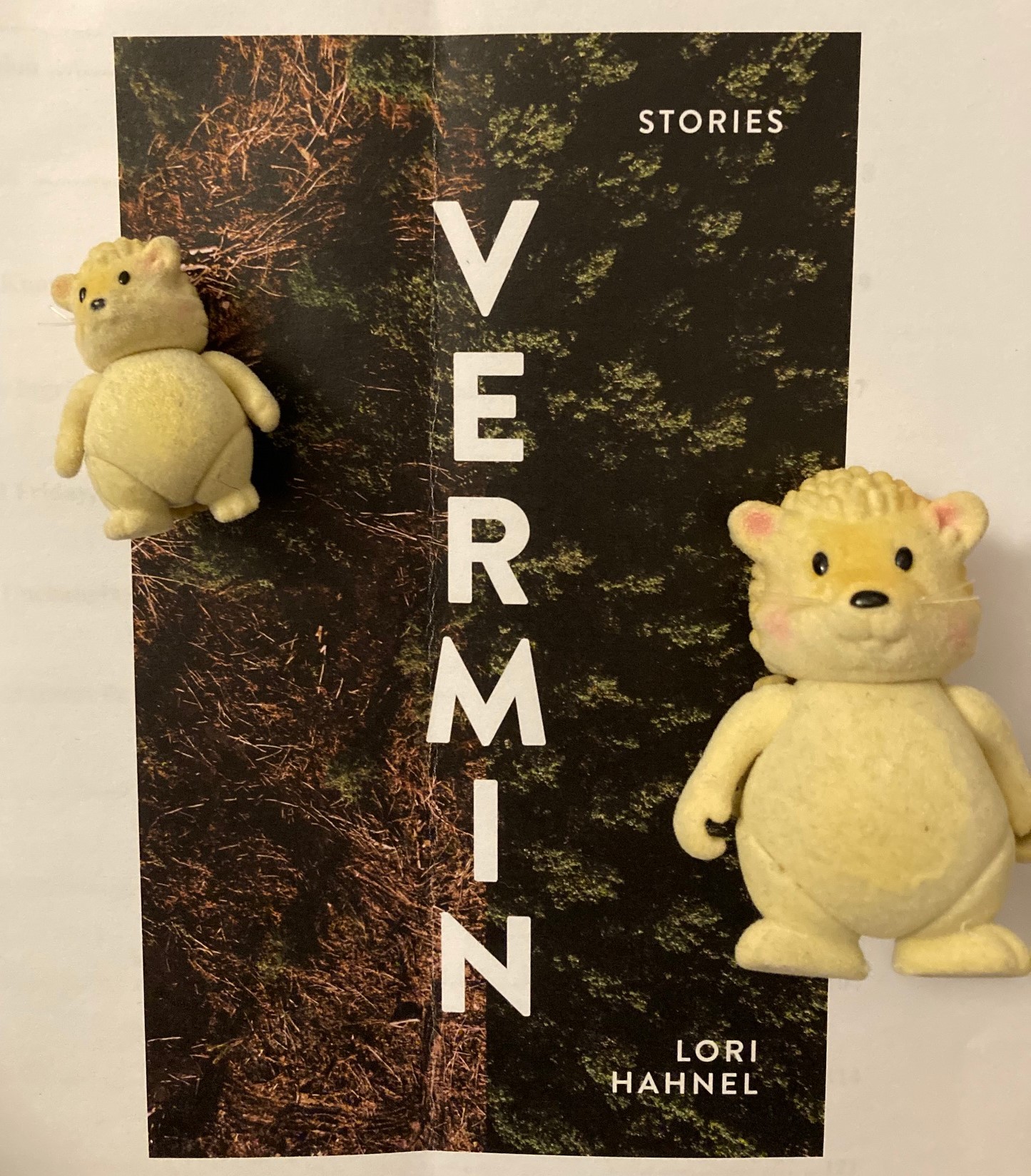 cover image of Vermin by Lori Hahnel