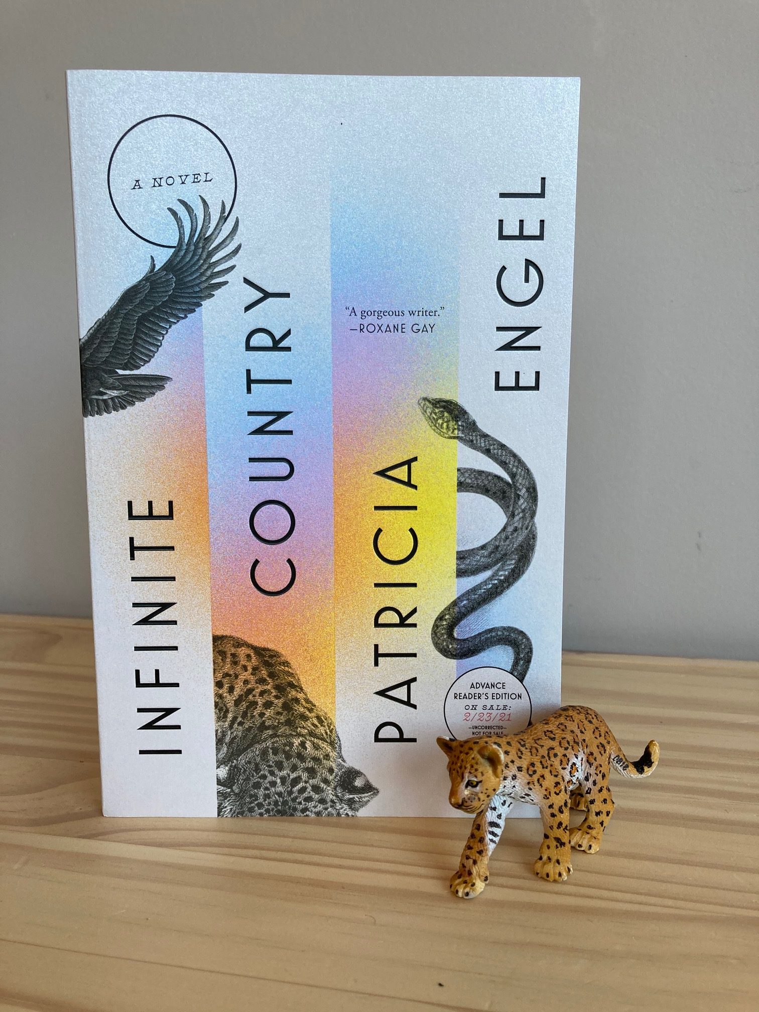 cover image of Infinite Country by Patricia Engel