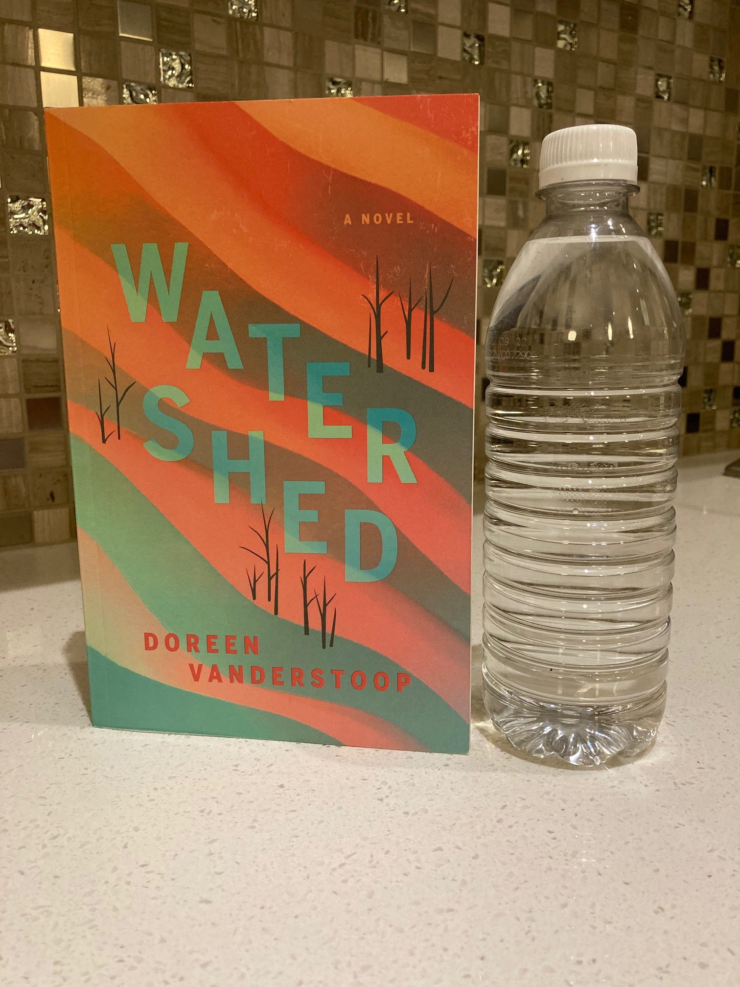 cover image of Watershed by Doreen Vanderstoop