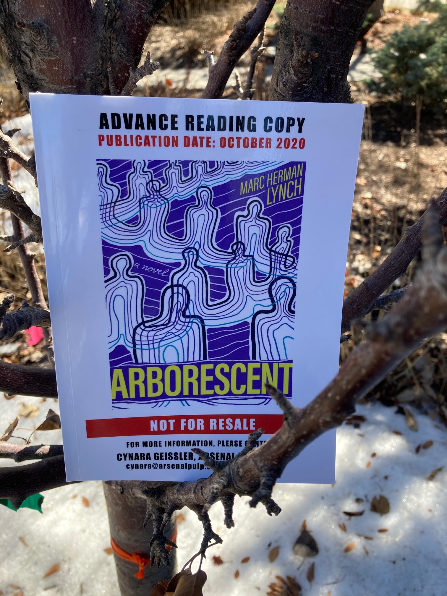 cover image of Arborescent by Marc Herman Lynch