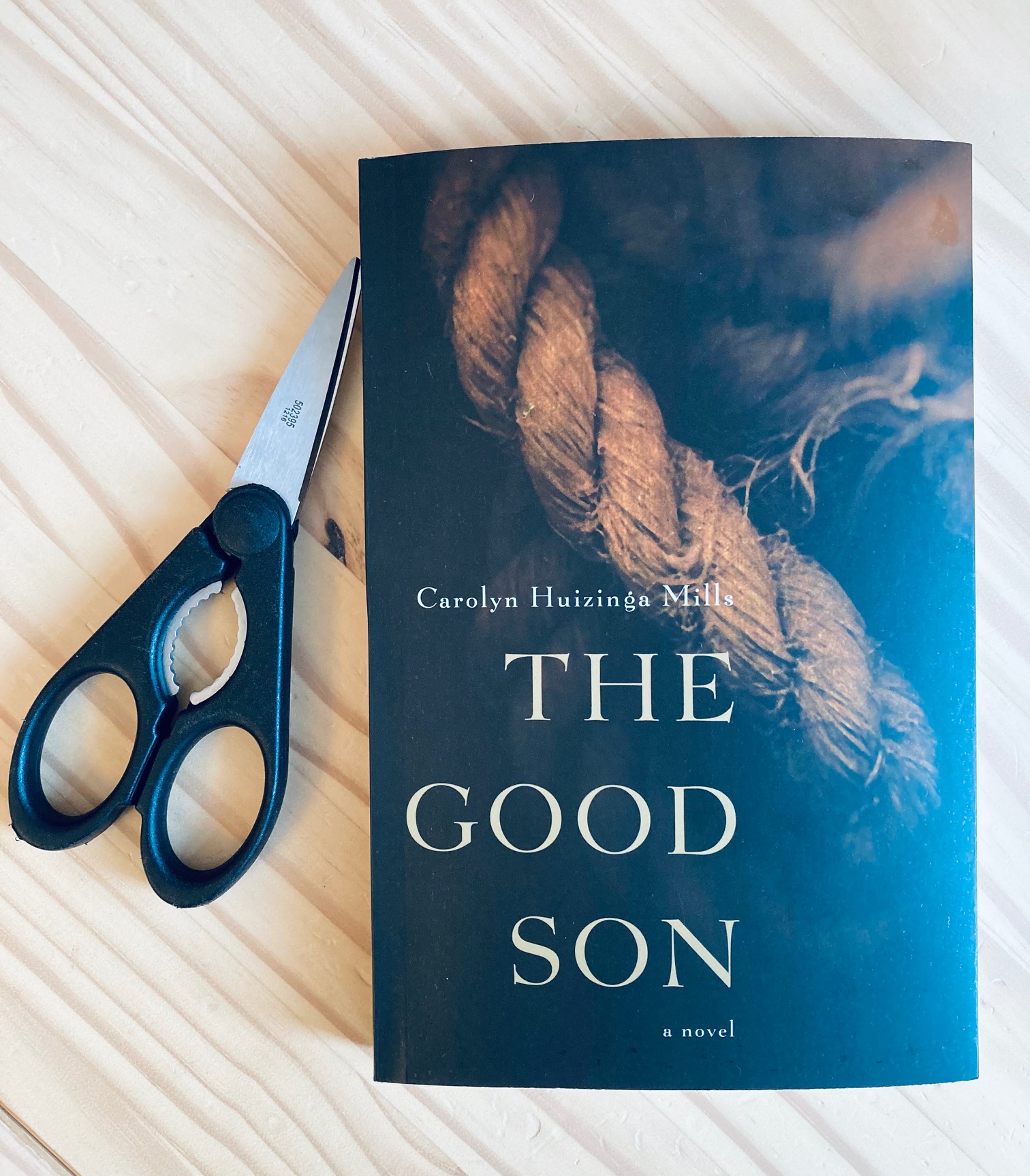 cover image of The Good Son by Carolyn Huizinga Mills