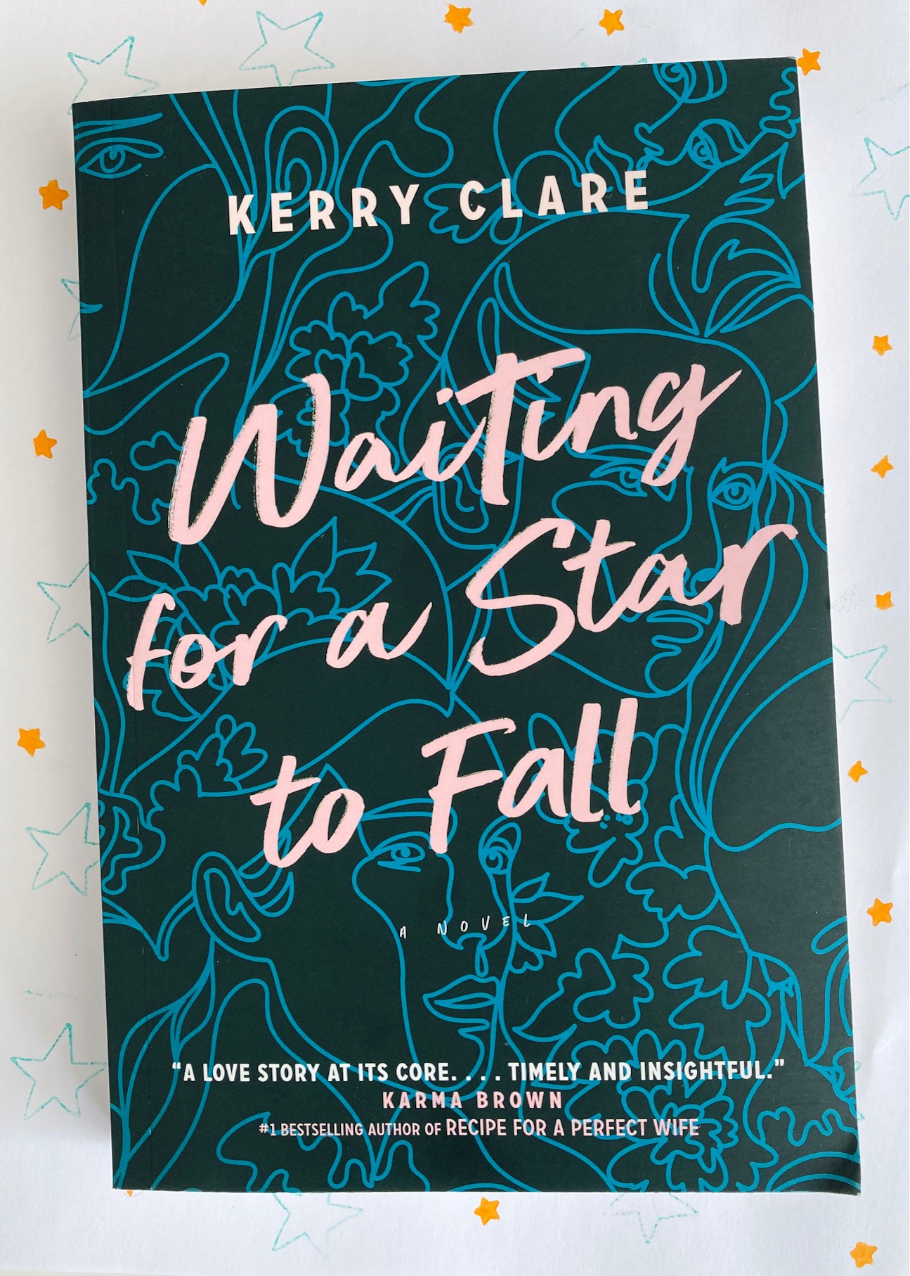 cover image of Waiting for a Star to Fall by Kerry Clare