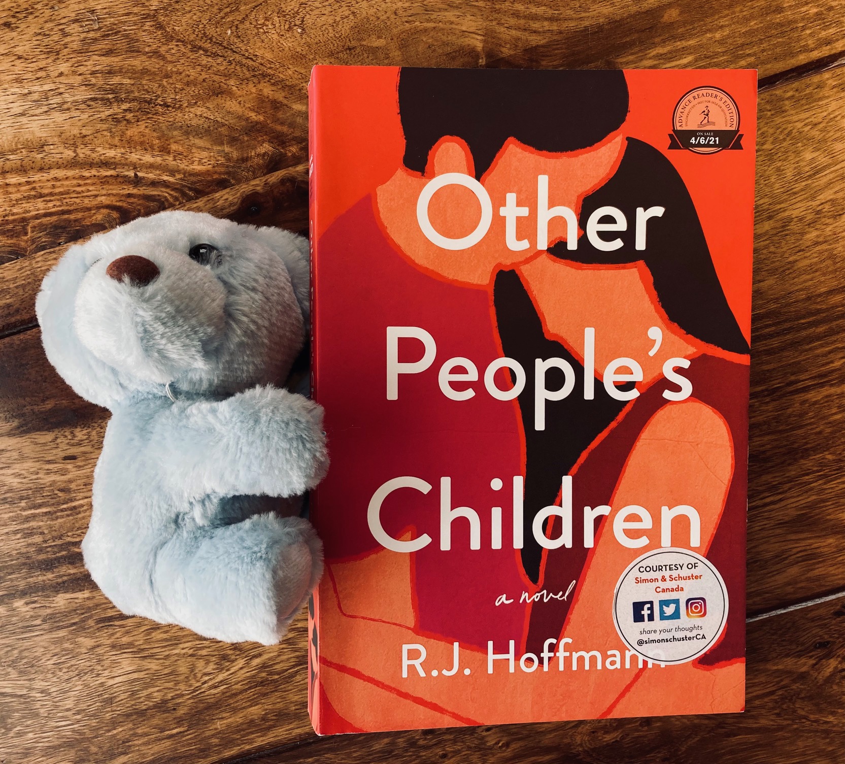 cover image of Other People's Children by R.J. Hoffman