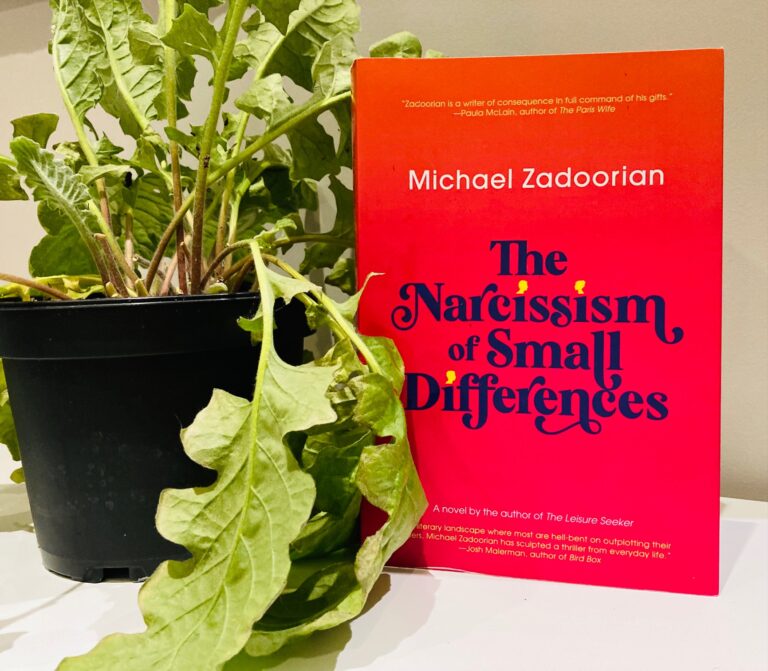 Book Review: The Narcissism of Small Differences by Michael Zadoorian