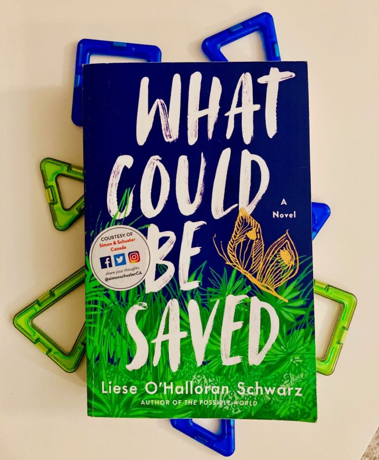 Book Review: What Could be Saved by Liese O’Halloran Schwarz