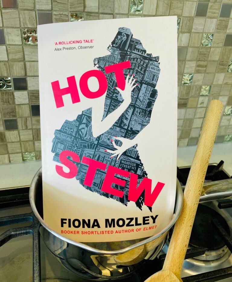 Book Review: Hot Stew by Fiona Mozley