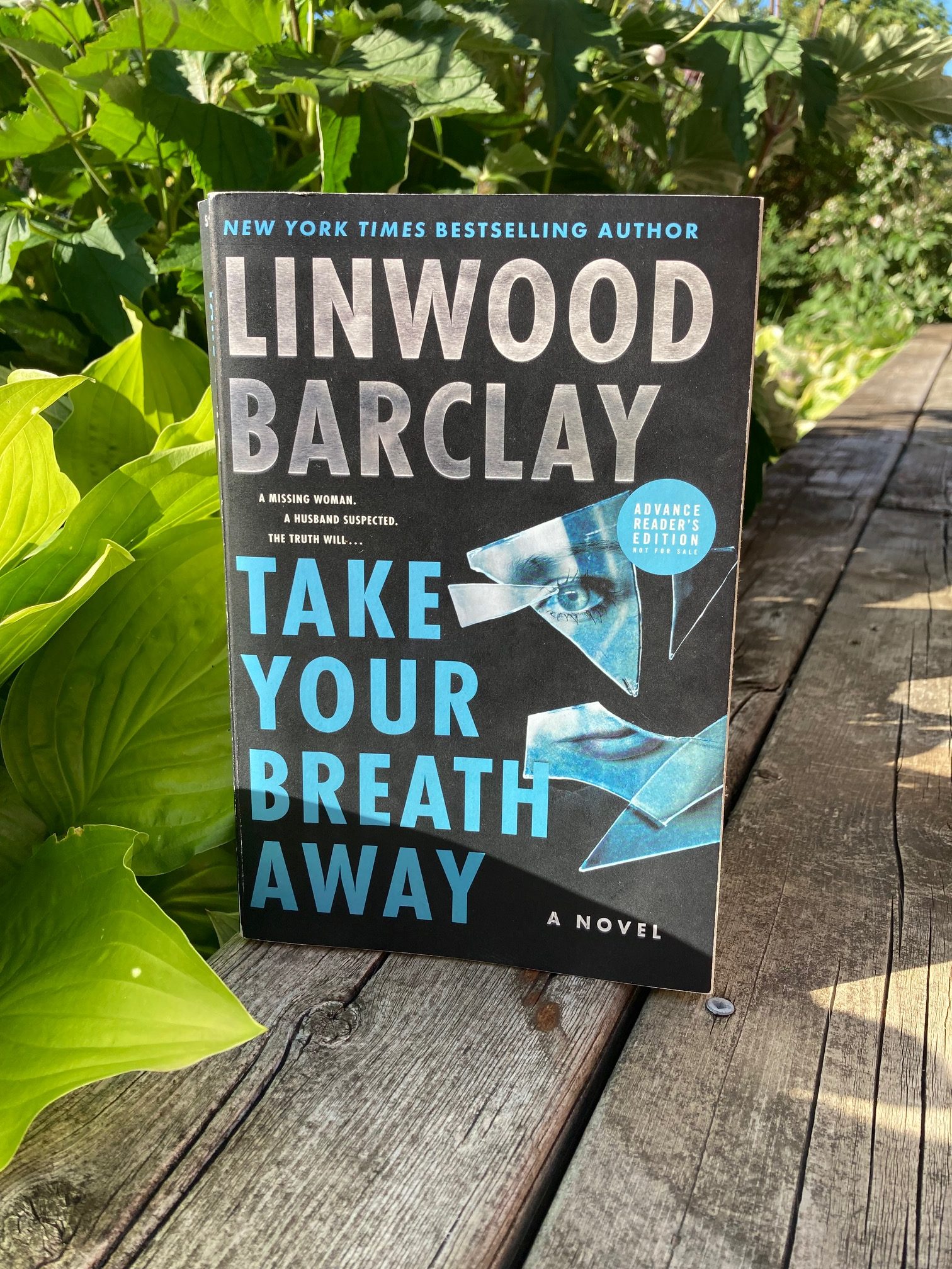 Take Your Breath Away by Linwood Barclay