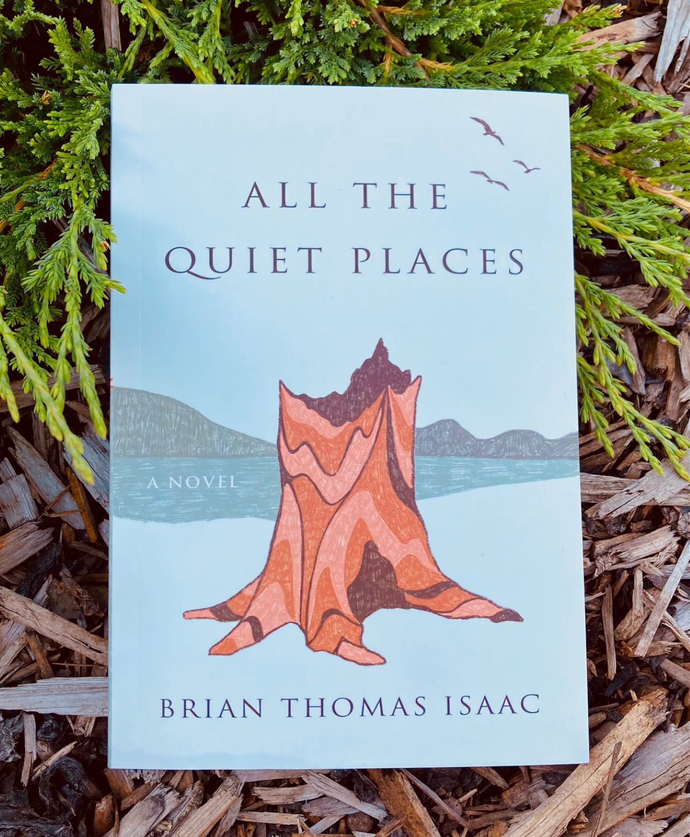 All the Quiet Places by Brian Thomas Isaac book