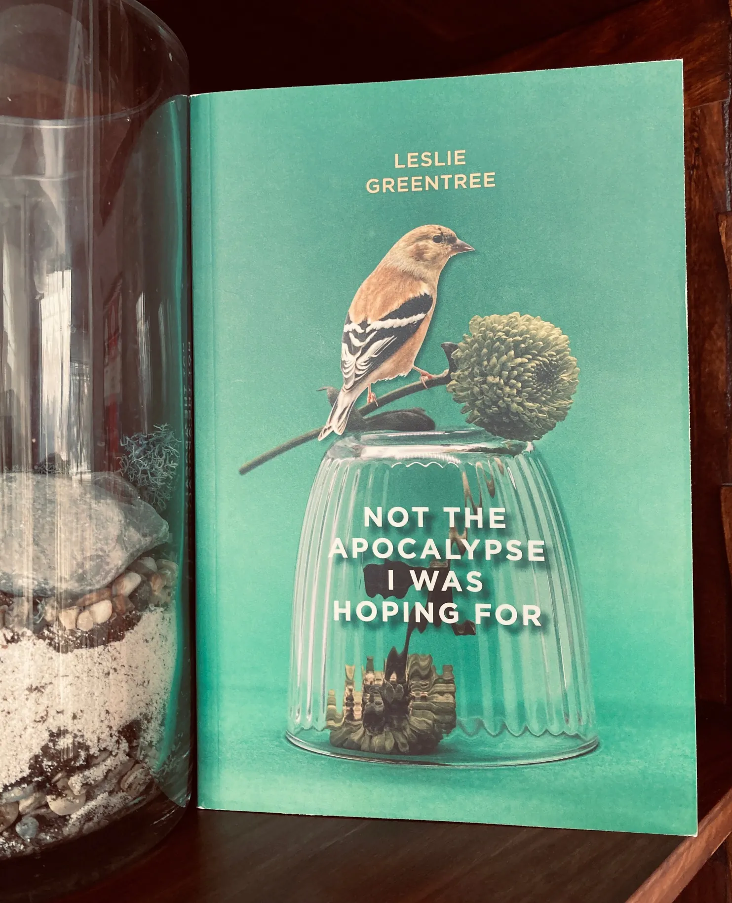 Picture of book titled Not the Apocalypse I Was Hoping For with green cover on wooden bookshelf beside glass jar