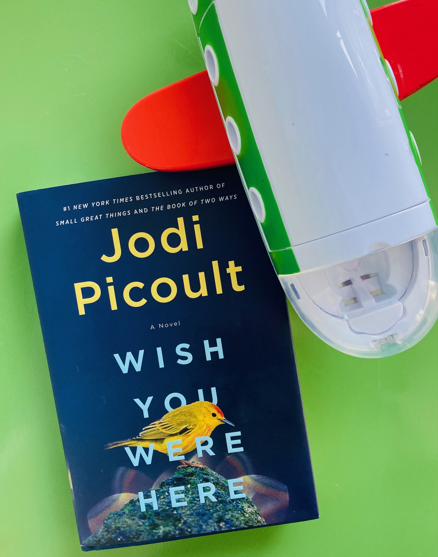 picture of Wish You Were Here by Jodi Picoult book, on a green background with a toy airplane beside it