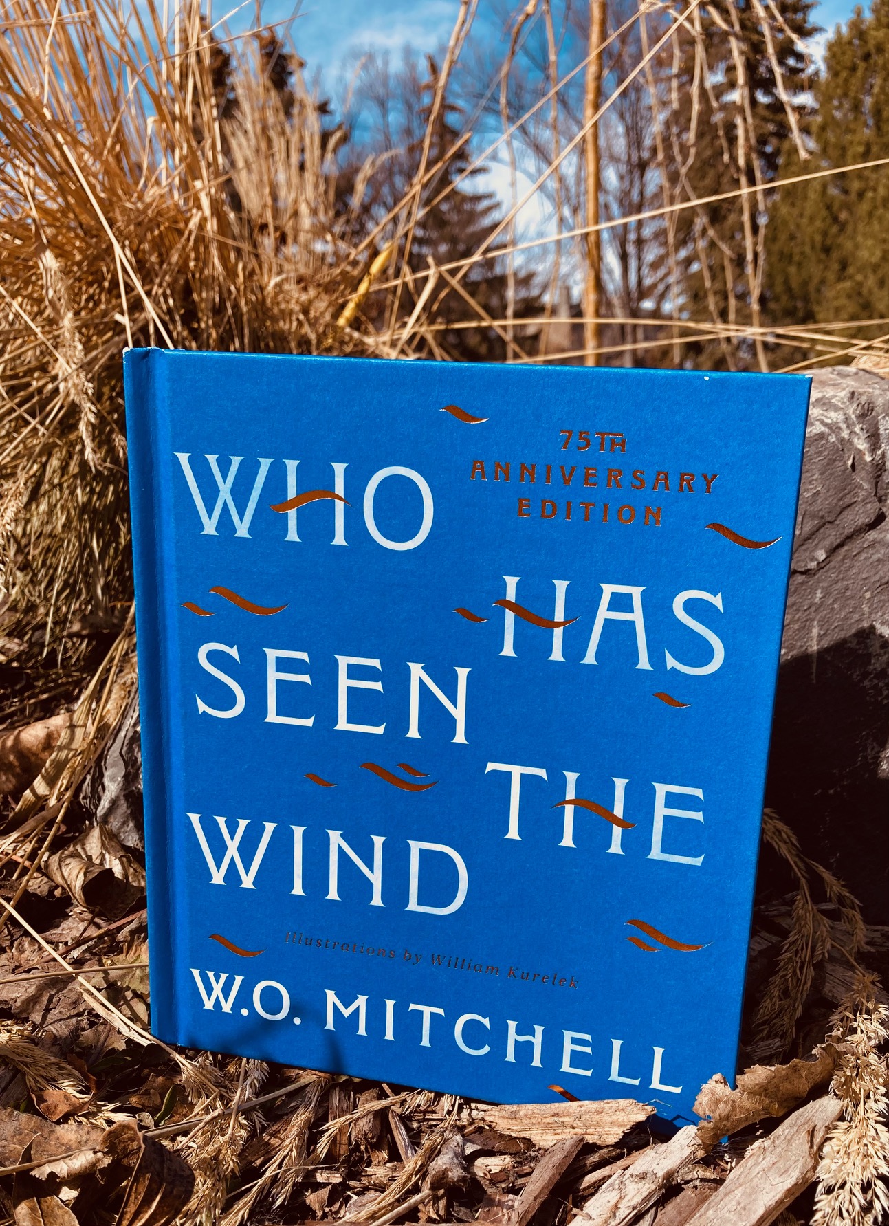Who Has Seen the Wind by W.O. Mitchell book pictured outdoors on top of dead leaves and some dried out branches behind it