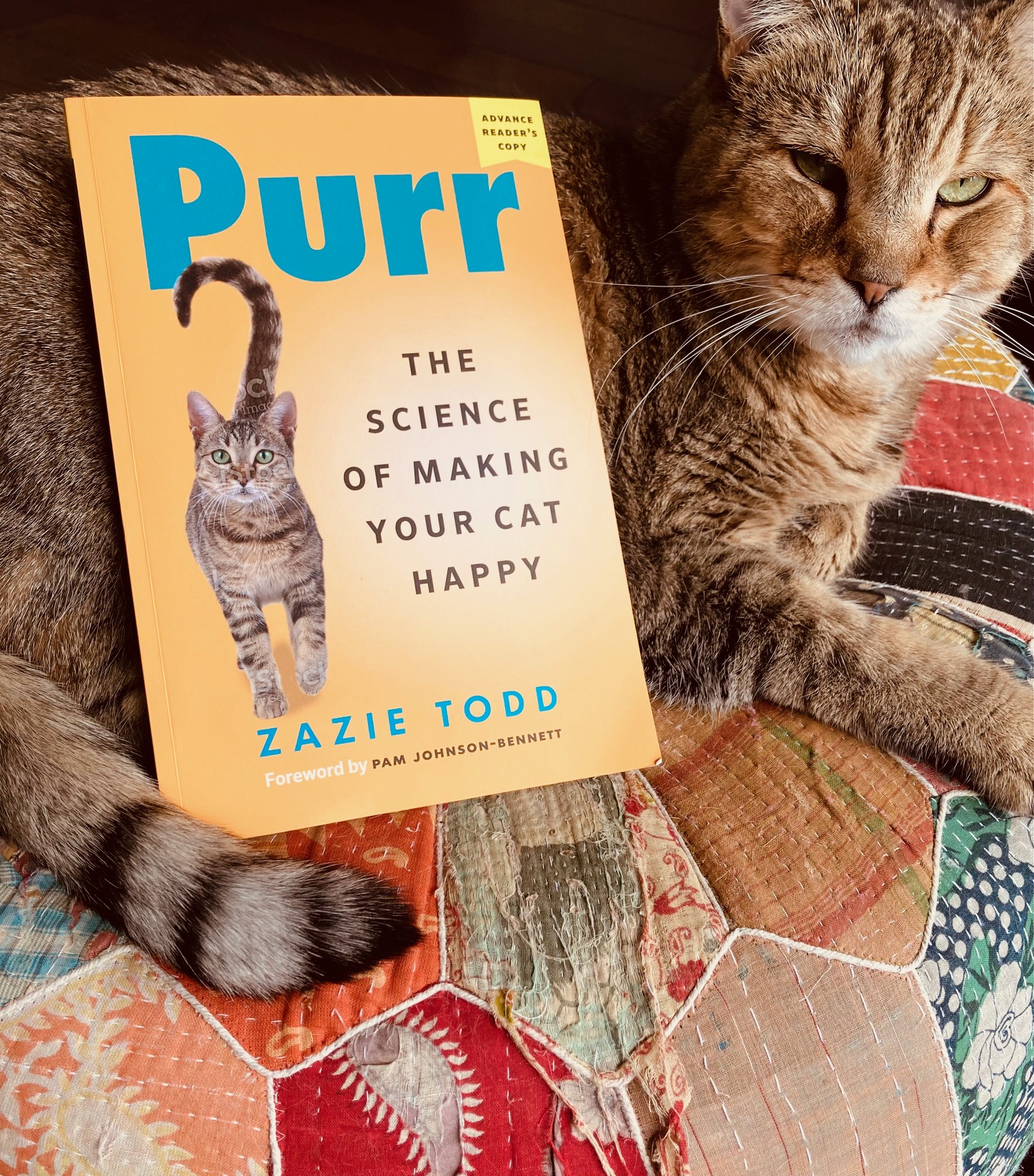 Purr, The Science of Making Your Cat Happy by Zazie Todd book