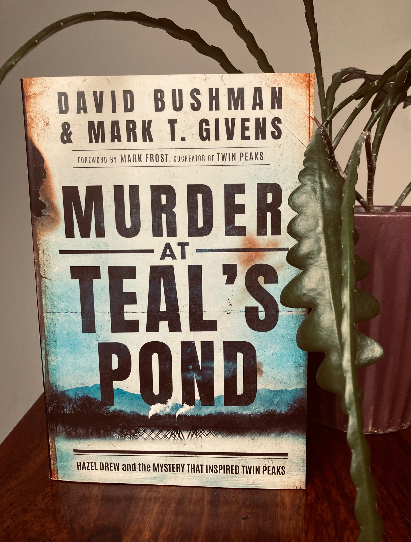Murder at Teal's Pond by David Bushman and Mark T. Givens book