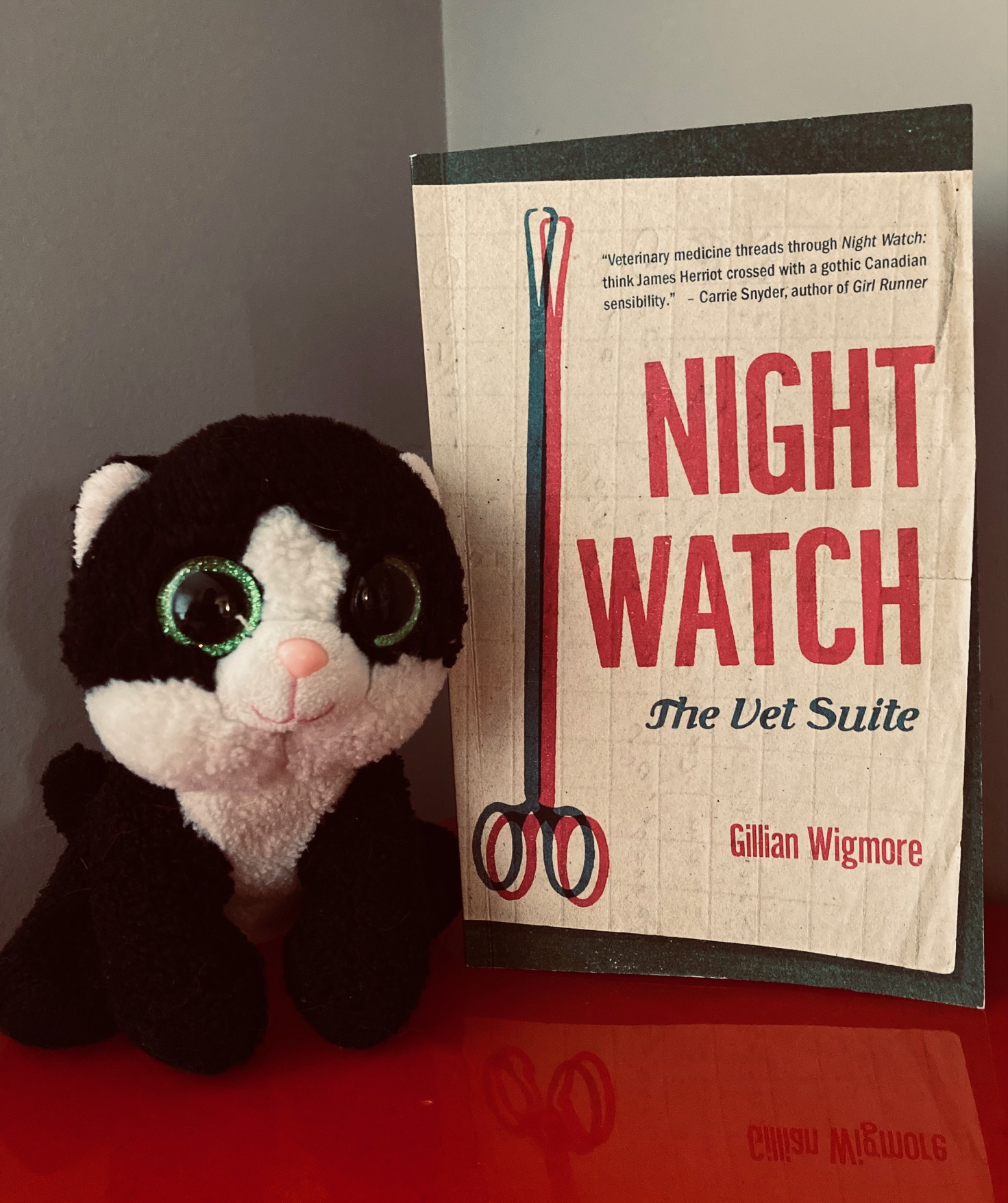 Night Watch, The Vet Suite by Gillian Wigmore book