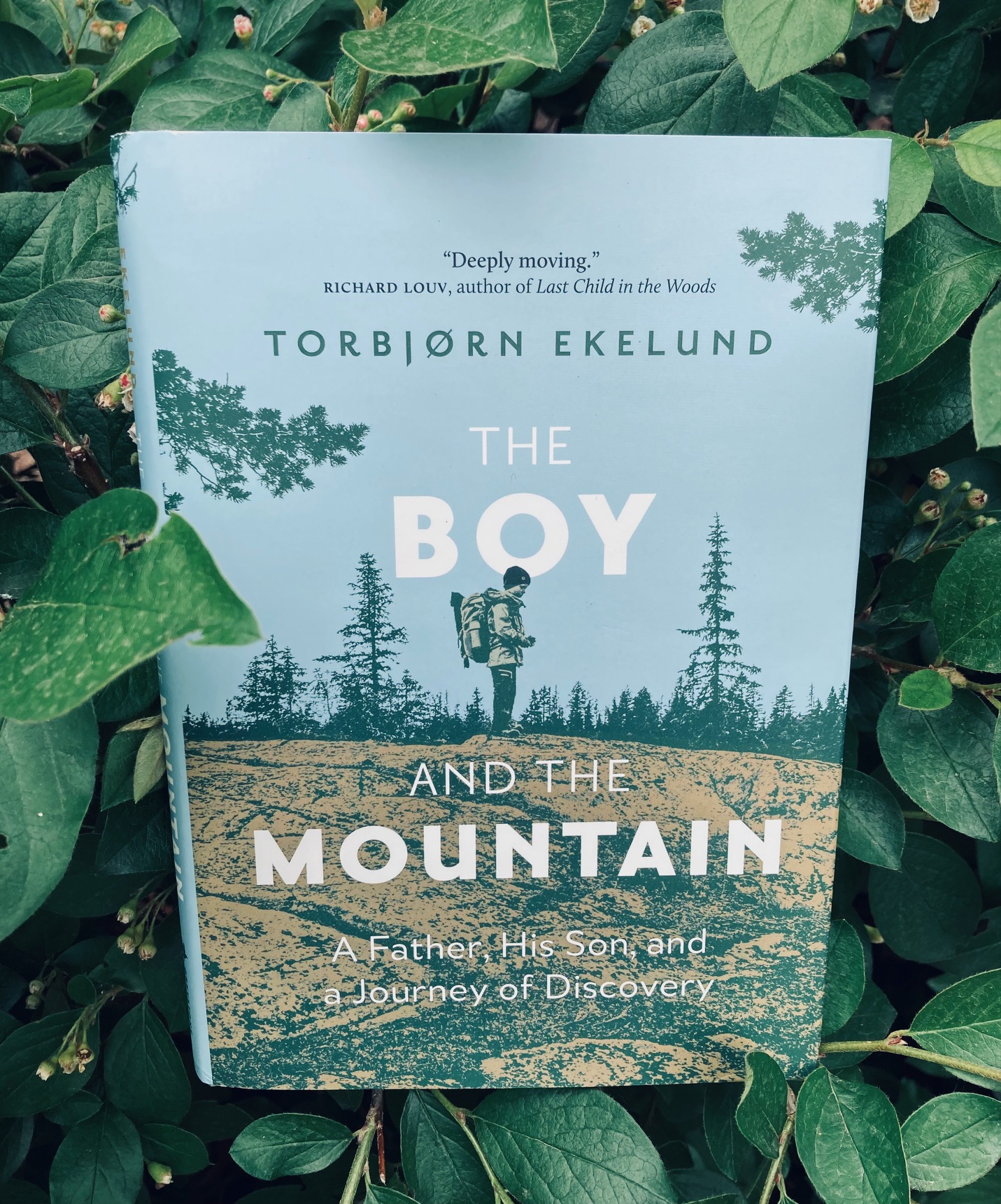 The Boy and the Mountain by Torbjorn Ekelund book pictured on top of green leaves