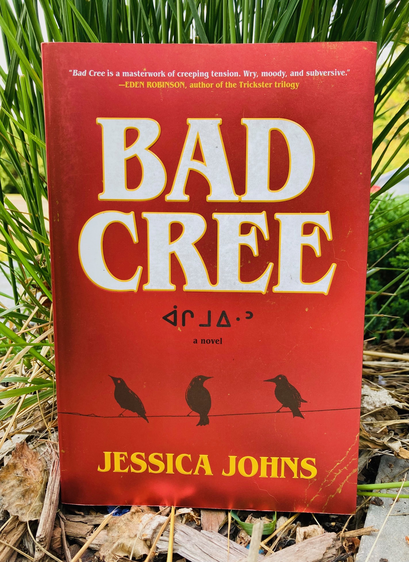 Bad Cree by Jessica Johns book pictured with green grass behind it